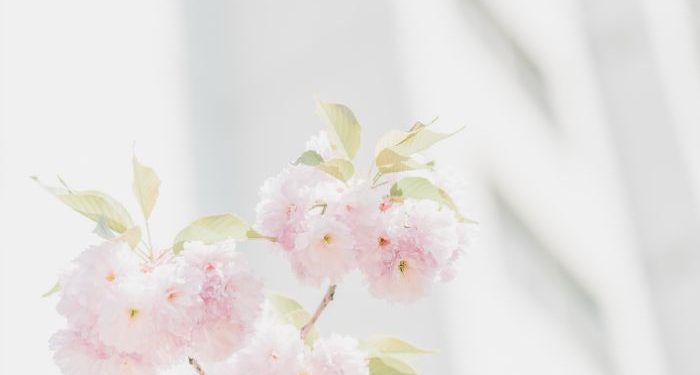 Belajar dari romantisnya Nabi Muhammad dan Aisyah