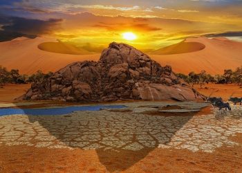 Jangan Pernah Merasa Puas Sekalipun Sudah Berhasil