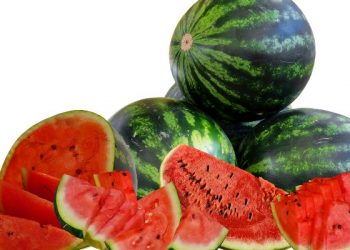 Tips memilih semangka berkualitas