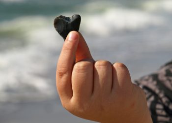 Makna Simbol Finger Heart