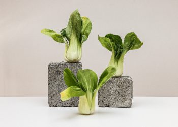 Jenis sawi familiar di Indonesia