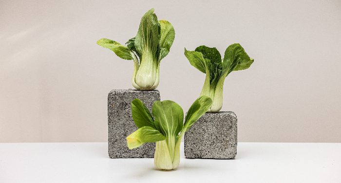 Jenis sawi familiar di Indonesia