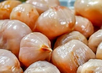 Mengenal Asinan Kelubi Khas Bangka dan Manfaat Buahnya untuk Kecantikan