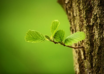 Masya Allah, Betapa Kesalehan itu Menyejukkan