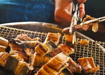 Manfaat dan Batasan Mengonsumsi Belut yang Tepat