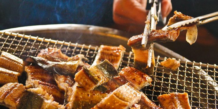 Manfaat dan Batasan Mengonsumsi Belut yang Tepat