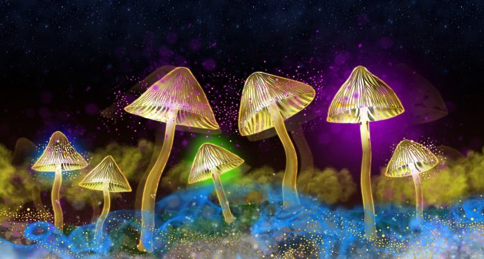 Mengenal Fenomena Bioluminescence dan Algae Blooms