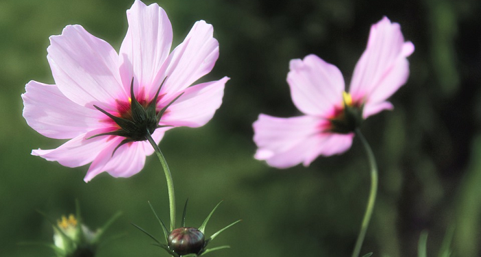 Ini 18 Cara Suami Istri Jaga Keharmonisan Keluarga