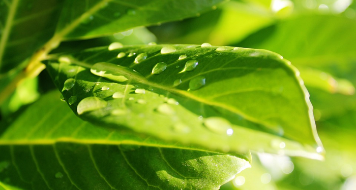 Menjaga Keluarga Tetap Harmonis (Bagian 2)