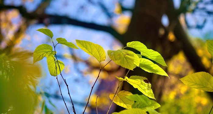 Menjaga Keluarga Tetap Harmonis (Bagian 1)