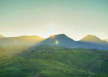 Harus Ada Tujuan Muhasabah