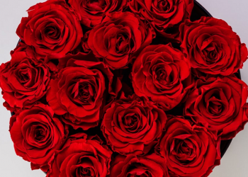 Kita Wujudkan Keluarga yang Lebih Baik (Bagian 2)