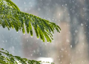 Musim hujan, barang keperluan wajib di rumah