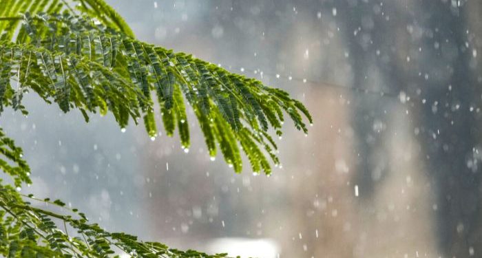 Musim hujan, barang keperluan wajib di rumah