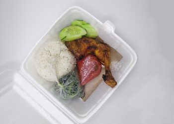 Fakta Styrofoam Menurut BPOM dan Dampak bagi Kesehatan dan Lingkungan