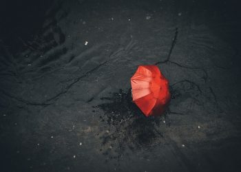 Hujan Keberkahan di Gaza