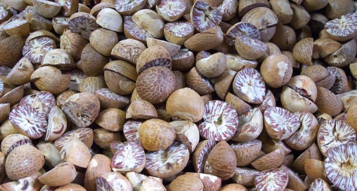 Status Kehalalan Biji Buah Pala untuk Bumbu Masakan