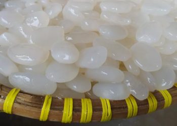 Manfaat kolang-kaling untuk kesehatan