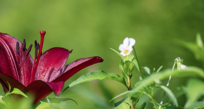 Dua Belas Cara Membiasakan Keluarga Berakhlak Mulia