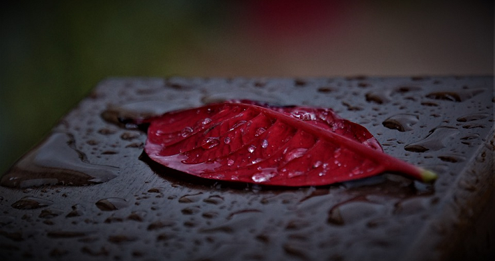 Cukuplah Kematian Sebagai Peringatan