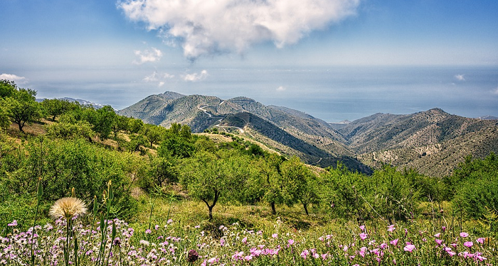Pentingnya Pembersihan Prilaku dalam Keluarga