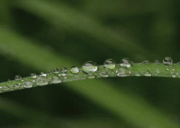 Pembersihan Jiwa Raga Benteng Keluarga Sakinah