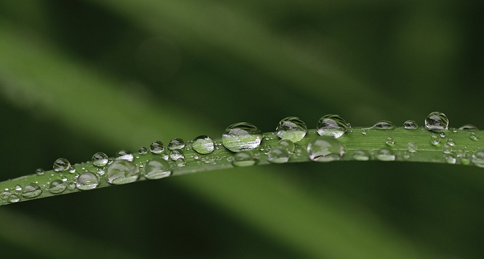 Pembersihan Jiwa Raga Benteng Keluarga Sakinah