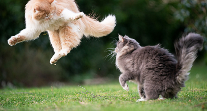 Pertengkaran Menyebabkan Perceraian