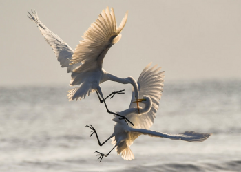 Sembilan Dampak Negatif Pertengkaran Panjang Suami Istri