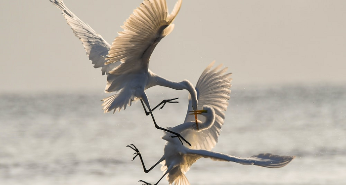 Sembilan Dampak Negatif Pertengkaran Panjang Suami Istri