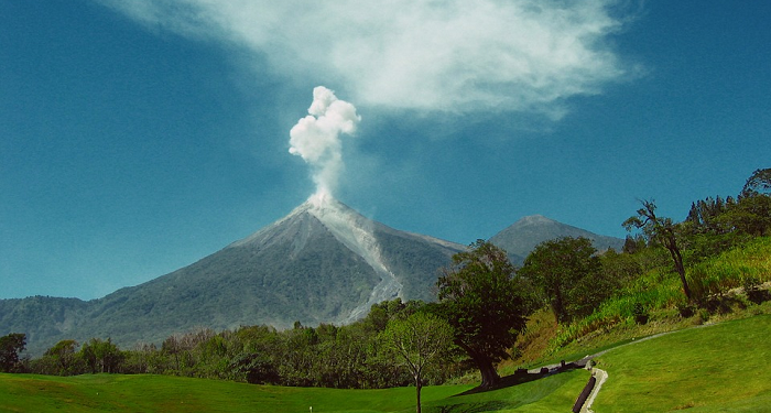 Globalisasi Wedus Gembel