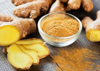 Manfaat Kencur bagi Kesehatan