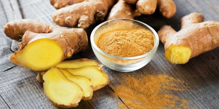 Manfaat Kencur bagi Kesehatan