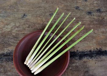 Obat Alami untuk Mengatasi Masalah Keputihan