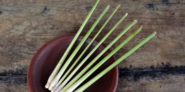 Obat Alami untuk Mengatasi Masalah Keputihan