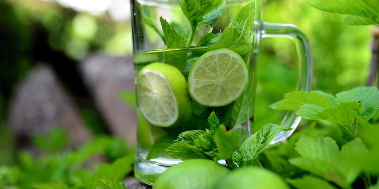 Minuman Sehat Pengganti Sop Buah