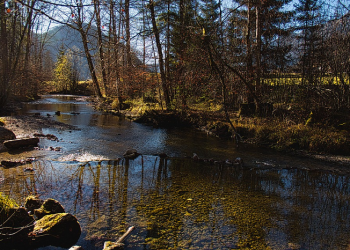 Lockdown Maksiat dan Perbanyak Taat