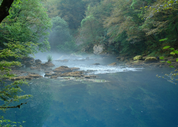 Cita-Cita Urwah bin Zubair (1)