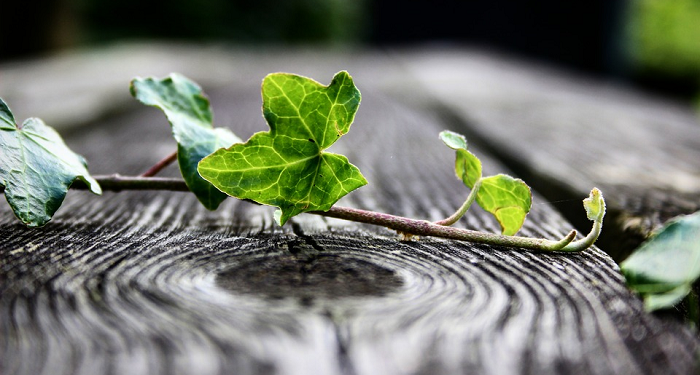 Tak Berjarak dengan Allah dan Alquran pada Masa Pandemi