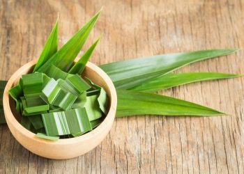 Sangat Mudah, Ini Cara Membuat Pasta Pandan Alami untuk Pewarna Makanan