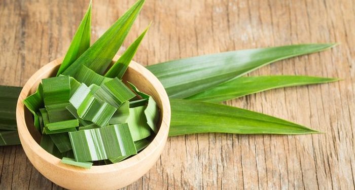 Sangat Mudah, Ini Cara Membuat Pasta Pandan Alami untuk Pewarna Makanan