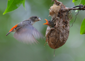 Menjadi Pribadi yang Simpatik