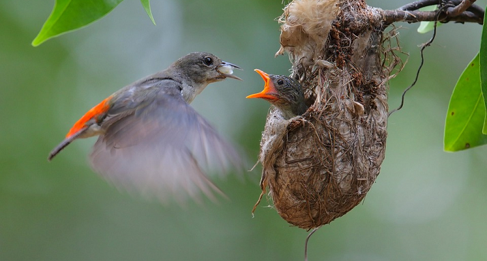 Menjadi Pribadi yang Simpatik