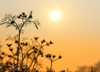 Ini Manfaat Luar Biasa Membangun Silaturahim dalam Keluarga