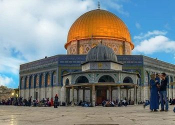 Muslimah Wahdah Bagikan Paket Ifthar untuk Palestina