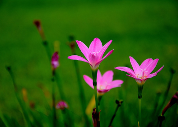 Sikap Muslim Pasca Ramadan