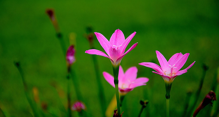 Sikap Muslim Pasca Ramadan