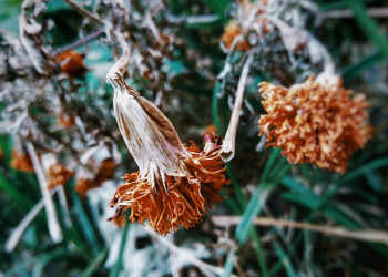 Jangan Merasa Tak Berdaya, Ibu