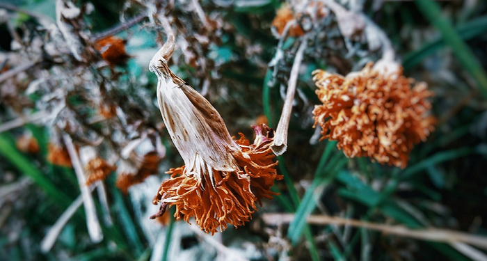 Jangan Merasa Tak Berdaya, Ibu