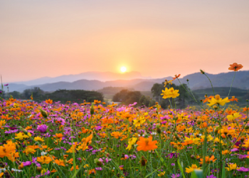 Pesona Dunia yang Hanya Sementara